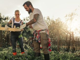"Gemeinsam Boden gut machen": Zehn Bio-Betriebe erhalten Förderpreis für Umstellung auf Ökolandbau