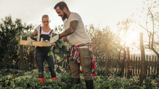 "Gemeinsam Boden gut machen": Zehn Bio-Betriebe erhalten Förderpreis für Umstellung auf Ökolandbau