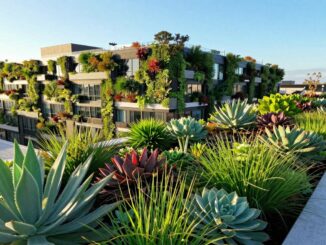 Gründächer & Fassadenbegrünung für Klima & Biodiversität – Effekte und Praxis