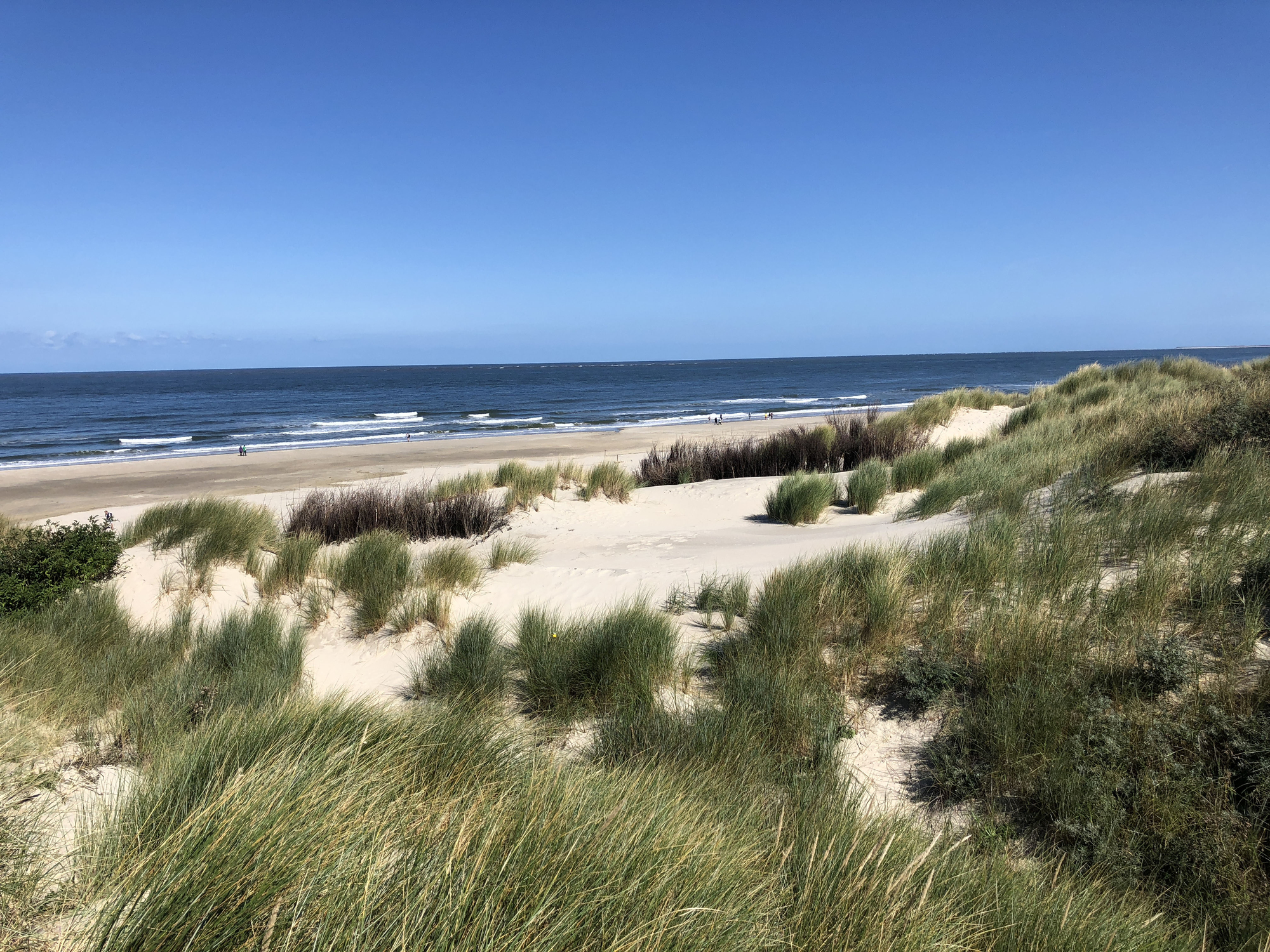 Neue Ausbaupläne für Gasförderung vor Borkum: Deutsche Umwelthilfe fordert Stopp des Unitarisierungsabkommens und konsequenten Meeresschutz